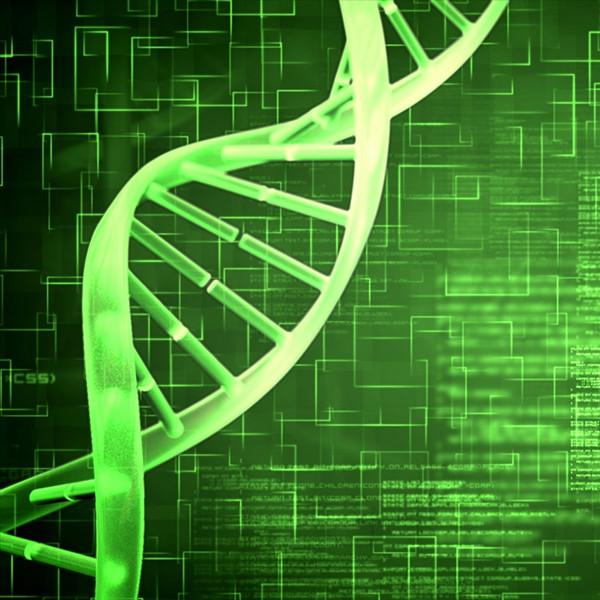 久久基因-张德晨