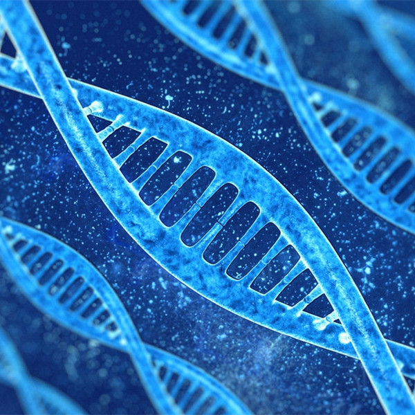 纵横基因-张德晨